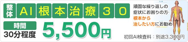 AI根本治療30 　5500円